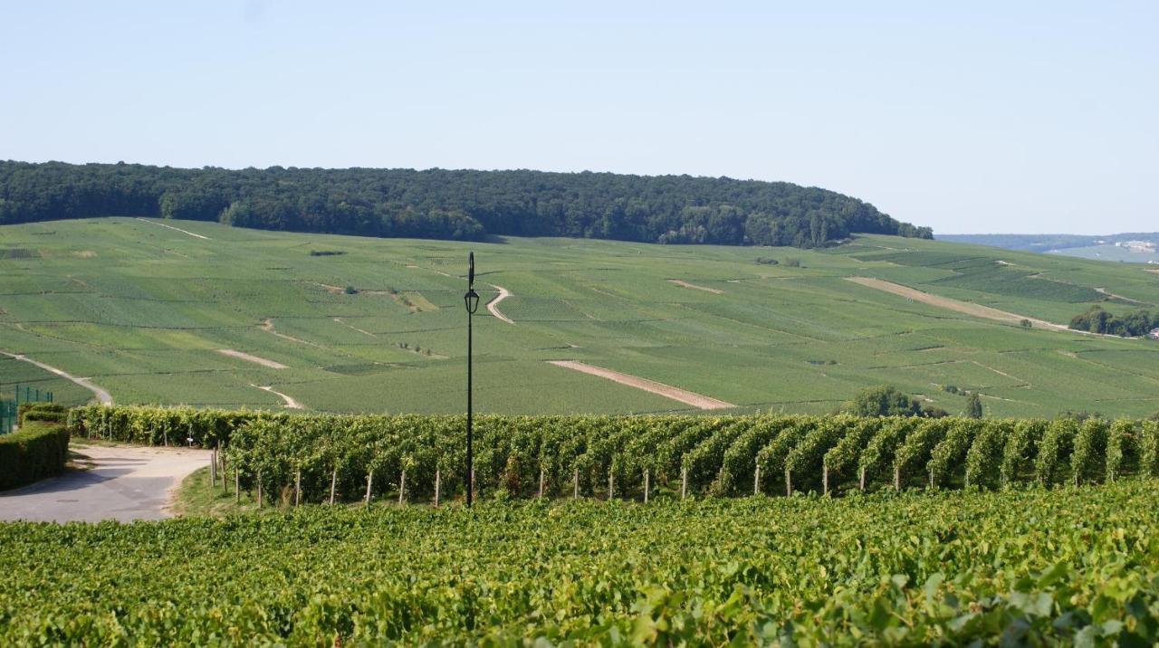 Les Dames-Jeannes Chavot-Courcourt Exterior foto